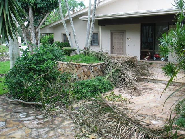 And we're home!  Some palm frons lay over the walkway.  Interestingly, there were little pieces of leaves plastered all over the house and garage.