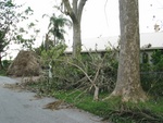 Our mailbox is in there somewhere!