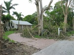 Another view of the driveway.