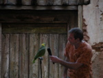 We went to a bird show and this bird knew how to sing 6 different songs!