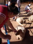 Hill petting the lamb in the petting zoo. 