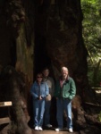 My mom, dad, and Uncle Al under the huge tree