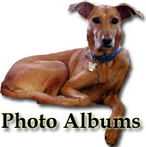 Pean welcomes you to Photo Albums.